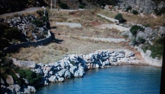ORHANİYE GÜNEŞ EMLAKTAN DENİZE SIFIR TARLA
