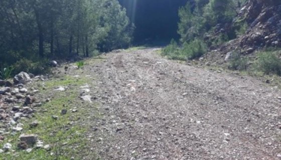 ORHANİYE GÜNEŞ EMLAKTAN TARLA