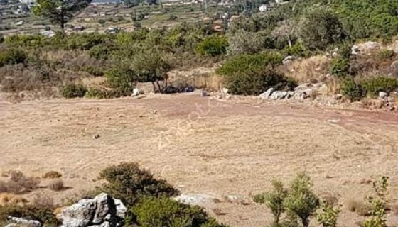 ORHANİYE GÜNEŞ EMLAKTAN SATILIK TARLA