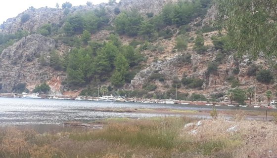 ORHANİYE GÜNEŞ EMLAKTAN FUUL DENİZ MANZARALI TARLA