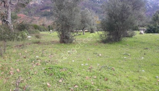 0RHANİYE GÜNEŞ EMLAKTAN KONUT İMARLI TARLA